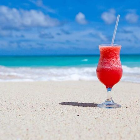 Le Palmier Bleu, Cocon Tropical, Plage & Piscine Anse Marcel 外观 照片
