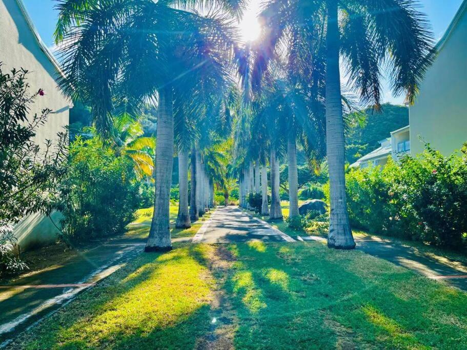 Le Palmier Bleu, Cocon Tropical, Plage & Piscine Anse Marcel 外观 照片