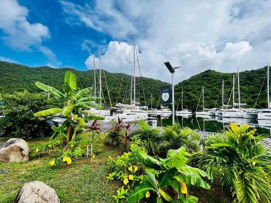 Le Palmier Bleu, Cocon Tropical, Plage & Piscine Anse Marcel 外观 照片